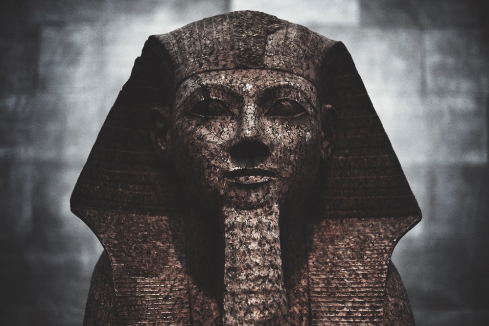 جولة على الجمل